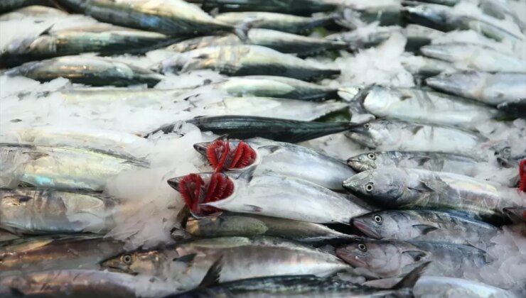 Ordu’da av yasağının sona ermesiyle balıkçılar tezgahları süslüyor