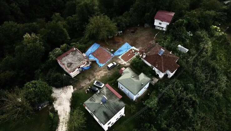 Samsun’da Fındık Hasadı ve Kurutma İşlemi Devam Ediyor